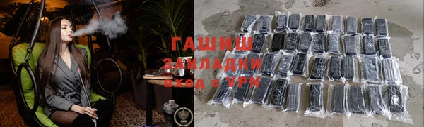 гашик Снежногорск