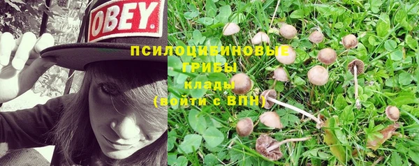 mdpv Медногорск