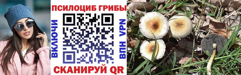 mega рабочий сайт Геленджик Псилоцибиновые грибы Magic Shrooms