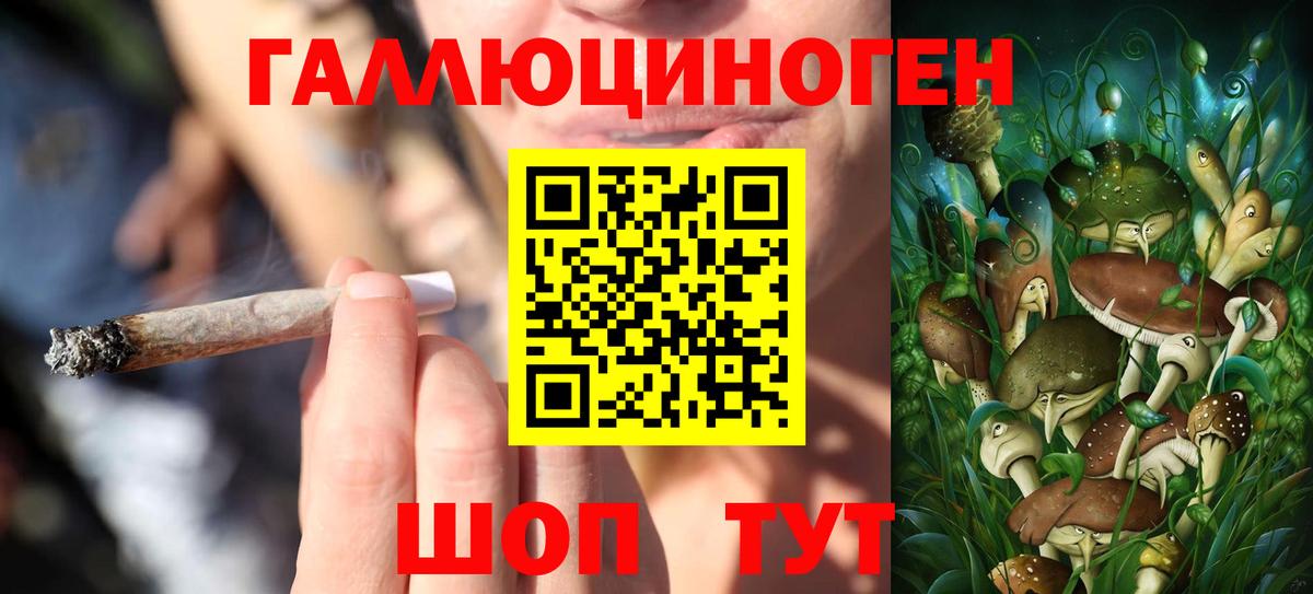 Псилоцибиновые грибы ЛСД Геленджик