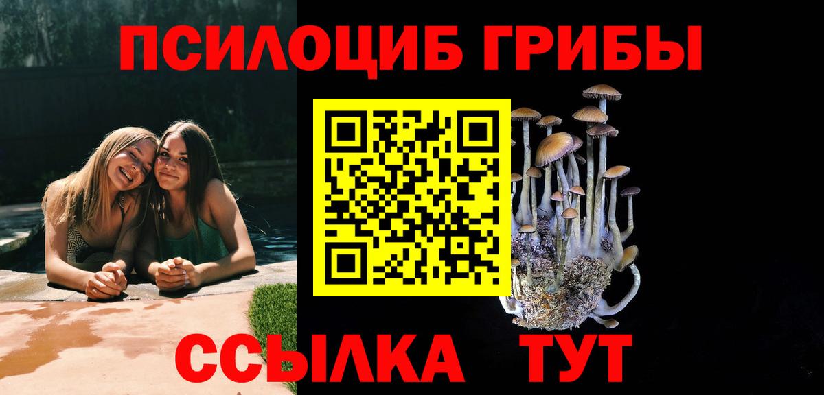 Геленджик  Псилоцибиновые грибы Cubensis  Вход с VPN 